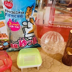 小動物用品全部
の画像