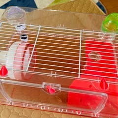 小動物用品全部
の画像