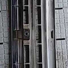 いすゞエルフフロントグリルの画像