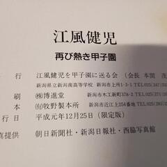 新潟南高校 甲子園出場記念絵皿 記念アルバムの画像