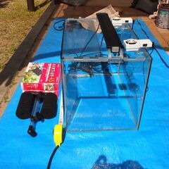 夏・冬シーズン対応可能器具付き水槽セット格安で！の画像