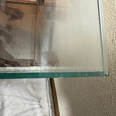 中古ADA60ワイド水槽セットの画像