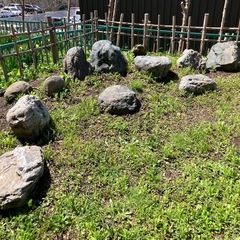 庭石　　無料　　一個からでもどうぞ