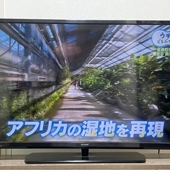 シャープ　40型テレビ