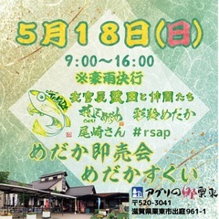 メダカ　めだかイベント
