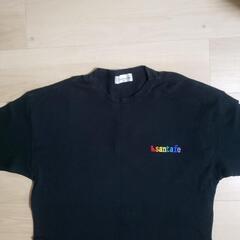 値下げ！！　サンタフェ　Tシャツの画像