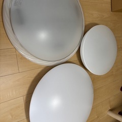 ライト　天井