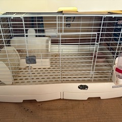 うさぎゲージ
