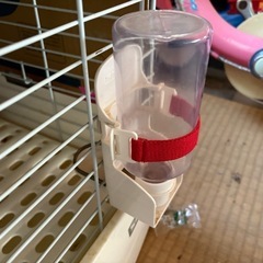 うさぎゲージ
の画像