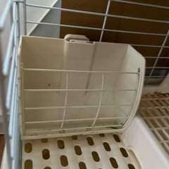 うさぎゲージ
の画像