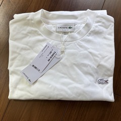 ラコステ　Tシャツの画像
