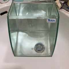 中古20センチ水槽の画像