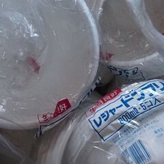 レジャー丼、55個、キャンプ、イベント、使い捨て、丼