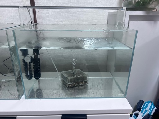 ADA水槽45センチ2セット