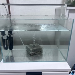 ADA水槽45センチ2セット