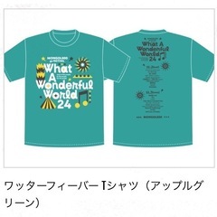 ワッターフィーバー Tシャツ（アップルグリーン）Sサイズ　What a Wonderful World!! 24
の画像