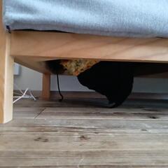 ソファの画像