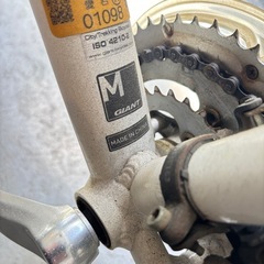 GIANT ESCAPE R3の画像