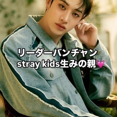 straykids 大人stayさんと繋がりたい