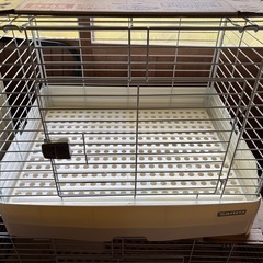 うさぎゲージ