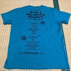 ワッターフィーバー Tシャツ（アップルグリーン）Sサイズ　What a Wonderful World!! 24
の画像
