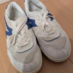 アキレスシューズ 25.0