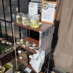 めだか無人販売の画像