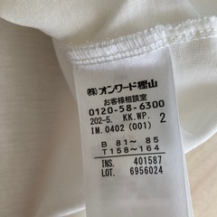 エニシス anysis カットソーの画像