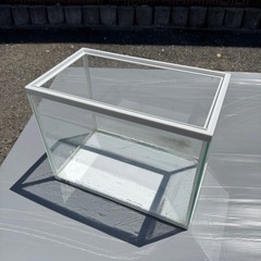 ガラス水槽①  幅31.5、奥行き18.5cmくらい