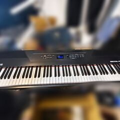 【引き取り限定・美品】Alesis Recital Pro 電子...