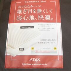 ATEX電動ベッド　【お話中⇒決定しました】の画像