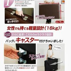 【画像追加】【未使用新品！】LOWYA （ロウヤ） 軽量 折りた...