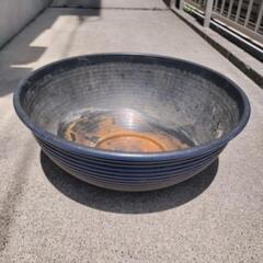 軽量　プラスチック　メダカ鉢