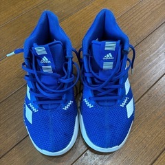 バッシュ21センチ