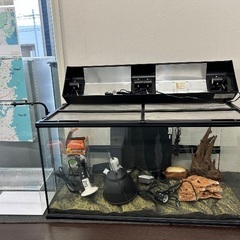  ★北九州、福岡市周辺限定【ジェクス】美品❗爬虫類グラステラリウ...