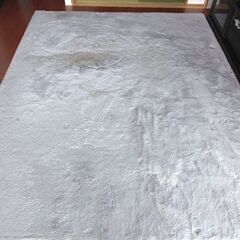 絨毯(中古で汚れあり)200x250