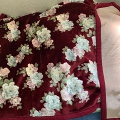 毛布2枚セット