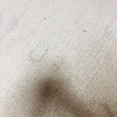 淀川区です！処分します！もらってください！即日okです！カーペット　ラグ　絨毯　8畳用の画像