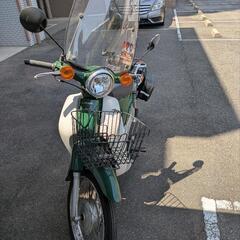 (GW期間中)スーパーカブ１１０(JA07)の画像
