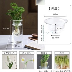 バルブベースロングの画像