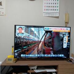 50型　液晶テレビ