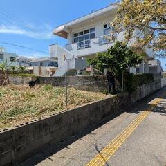 草刈り・刈払いの画像