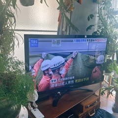 REGZA  47Z2  テレビ　レグザ　TOSHIBA