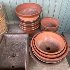 【無料】鉢　植木鉢　盆栽
