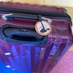 【受け渡し完了】旅行用トランクケース　海外旅行　大きいタイプ　無料の画像