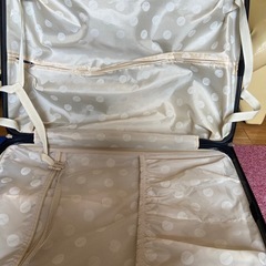 【受け渡し完了】旅行用トランクケース　海外旅行　大きいタイプ　無料の画像