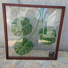 インテリアの画像