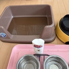 子犬トイレトレー