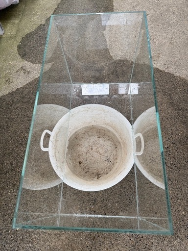 決まりました❗️ 
ADA 60センチ水槽