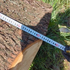クスノキ　楠　丸太　薪の画像